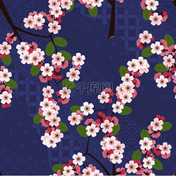 无缝花纹与樱花樱花花在蓝色日本