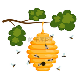 v生活图片_在白色背景上的黄蜂巢。蜂巢隔离