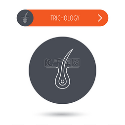 圆按钮橙色图片_Trichology 皮肤图标。皮肤病学头发