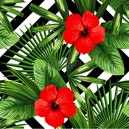 红色和黑色元素图片_热带花卉和叶子图案，黑色和白色