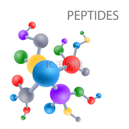 多肽结构氨基酸的结构, 载体例证