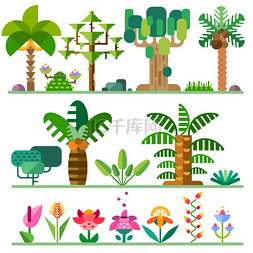 热带植物。不同种类的树，花