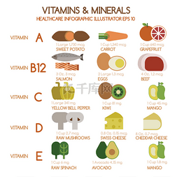 维生素和矿物质的食物以图例解释