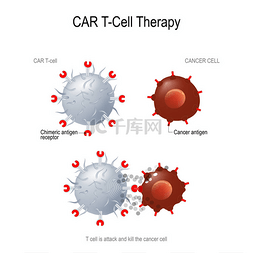 汽车而图片_用于癌症治疗的汽车