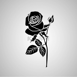 玫瑰黑色背景图图片_黑色玫瑰图标