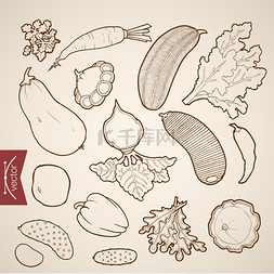 蔬菜收集的铅笔素描