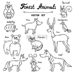 以森林动物为主题的手工绘制的孤