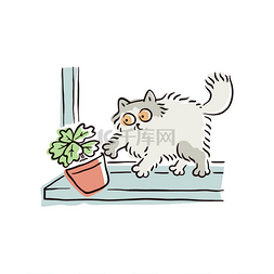 卡通猫推花壶从窗台上，搞笑顽皮