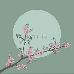 开花的樱桃枝图片_在背景上的月亮的樱花分支。年份