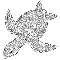 花素图片_Zentangle 程式化的龟