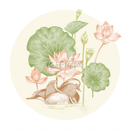 荷塘月色菜图片_插着异国情调的花和柑橘鸭的插图