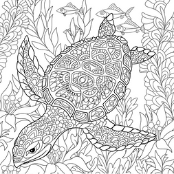 设计素彩图片_Zentangle 程式化的龟