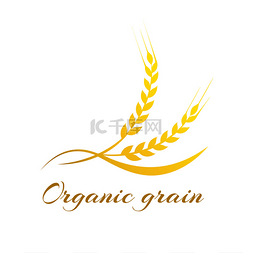 小麦标签-矢量图