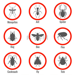 蜜蜂和蚊子图片_害虫和昆虫控制，矢量图标集