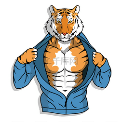 老虎在拳击风格打扮