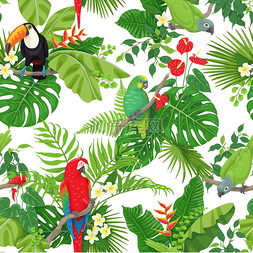 热带花卉图案图片_热带鸟类和花卉图案