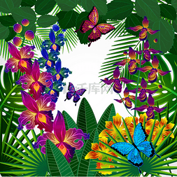 花艺设计背景。热带兰花花，叶和