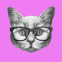 猫戴着眼镜的肖像