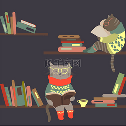 看书可爱图片_看书在书架上的猫