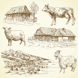 乡村景观、 乡村、 农场动物