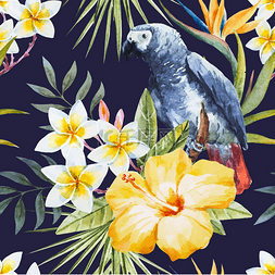 学话的鹦鹉图片_热带的水彩图案