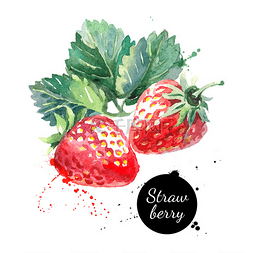 浆果矢量图片_手绘水彩绘画草莓