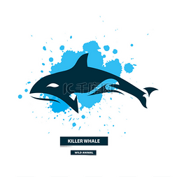 艺术的虎鲸图标上的彩色墨水背景