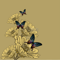 花和蝴蝶，手绘背景。矢量 il