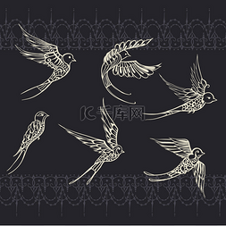 鸟类的背景图片_写意画的鸟插图。燕子