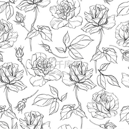 黑白素描玫瑰图片_玫瑰无缝图案