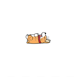 可爱小狗插图图片_懒狗睡觉, 可爱的威尔士科吉小狗