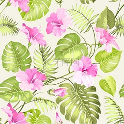 热带花卉图案图片_热带花卉图案.