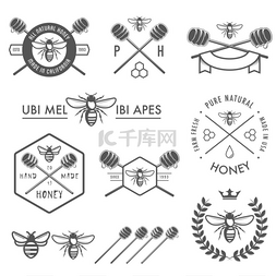 一套蜂蜜标签、徽章和设计元素