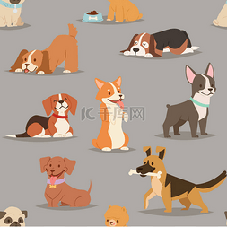 可爱的小狗插画图片_不同的狗品种可爱的小狗字符无缝