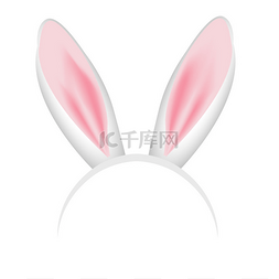 兔子的耳朵图片_兔子的耳朵冠