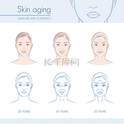 女性脸上的皮肤老化阶段