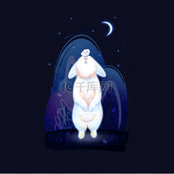 夜神星星图片_矢量星云的夜空和一只神奇的白兔