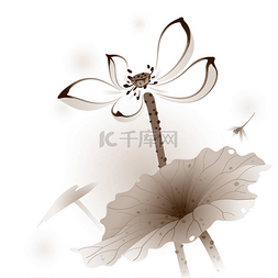 盛开的莲花图片_艺术似盛开的莲花，与蜻蜓