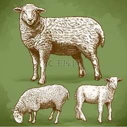 矢量图的雕刻三羊