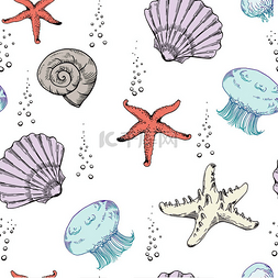 无缝的图案与扇贝壳, 水母, 海星