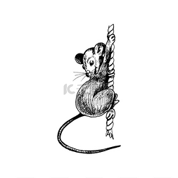 新年漫画图片_有长尾的老鼠作为新年的象征爬上