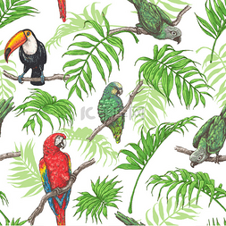 鹦鹉、 巨嘴鸟和棕榈叶图案