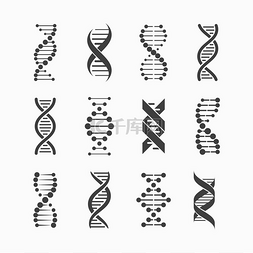 设置背景图图片_设置的 Dna 链的灰色