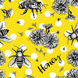蜜蜂和花图片_蜜蜂和花无缝矢量模式.
