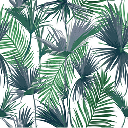 花卉图案插图图片_热带丛林棕榈叶无缝背景，矢量花