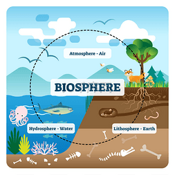 生物圈矢量图解。 在所有自然生