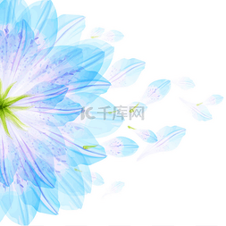 花的圆形图案的蓝色花瓣