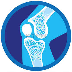 制度图片_骨科健康、膝盖、关节的图标或标