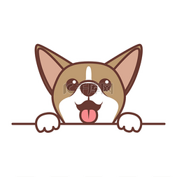 dog图片_Cute chihuahua dog paws up wall, vector illus