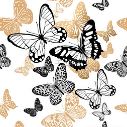 金色和黑色蝴蝶在白色背景无缝的